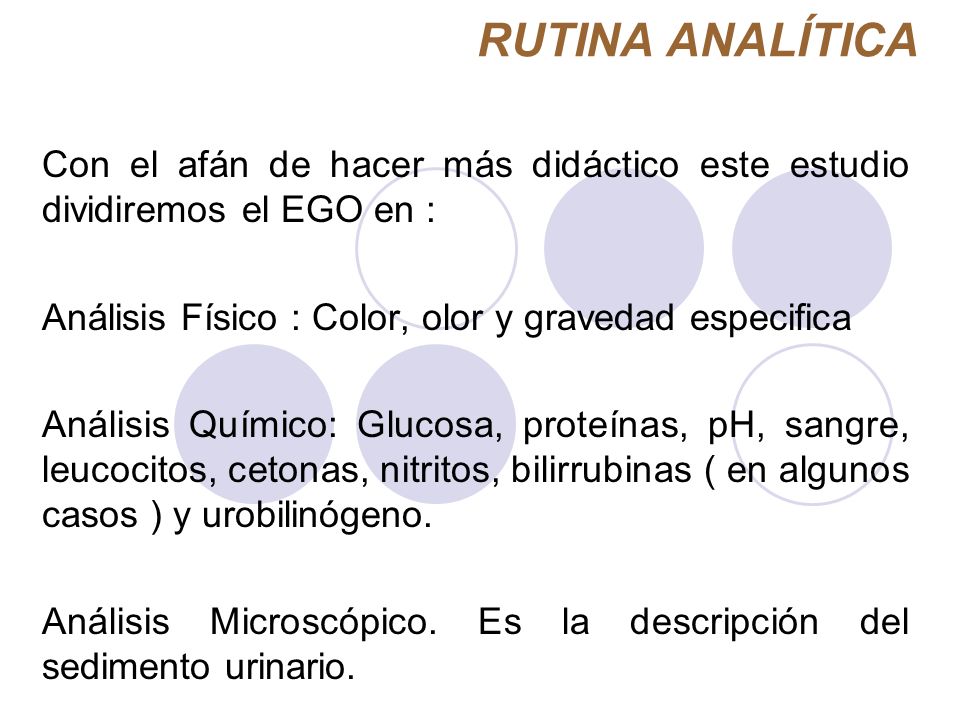 que significa leucocitos 0-1 por campo en orina